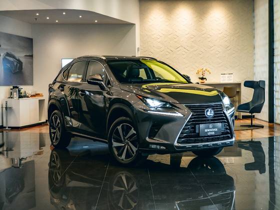 LEXUS NX 300h 2.5 16V VVT-I HYBRID LUXURY CVT AWD